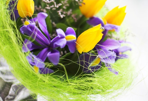 Choosing seasonal flowers