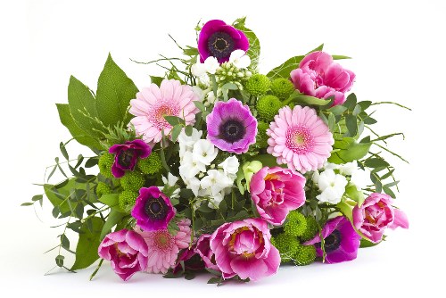 Online flower delivery options