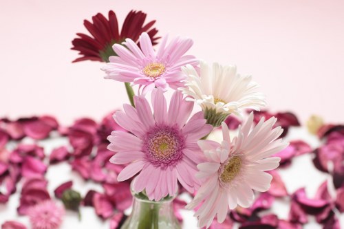 Expert florist arranging a radiant flower bouquet