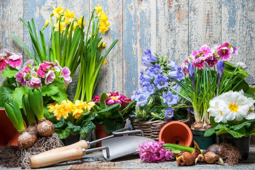 Selection of vibrant seasonal blooms in a store display