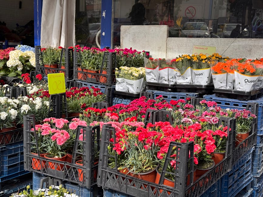 London vs Manchester Flower Prices: What Buyers Actually Pay